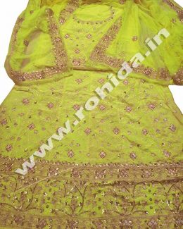 Light  Yellow Green colour  aari taari jarri work thakurji pyor odhna