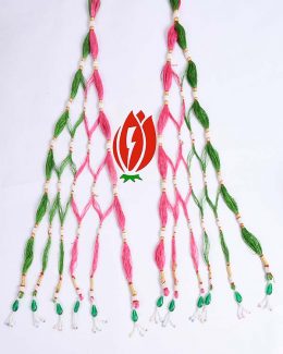 Resham Pink And Green  Rajwadi Loom